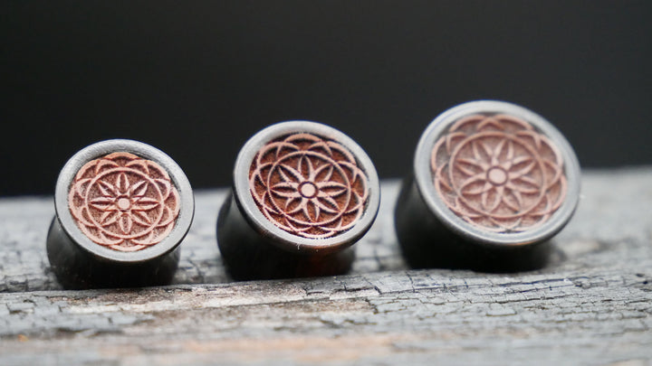 1x Plug Black Arang Wood 8-16mm - F1