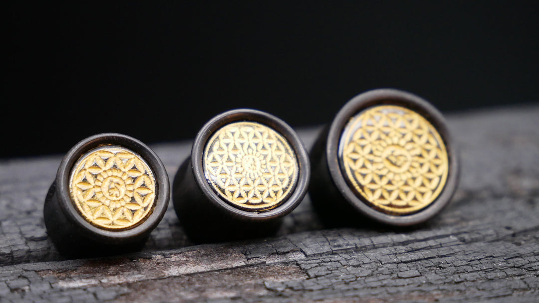 1x Plug Black Arang Wood 8-16mm - F1