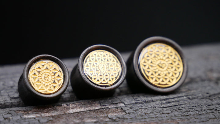 1x Plug Black Arang Wood 8-16mm - F1