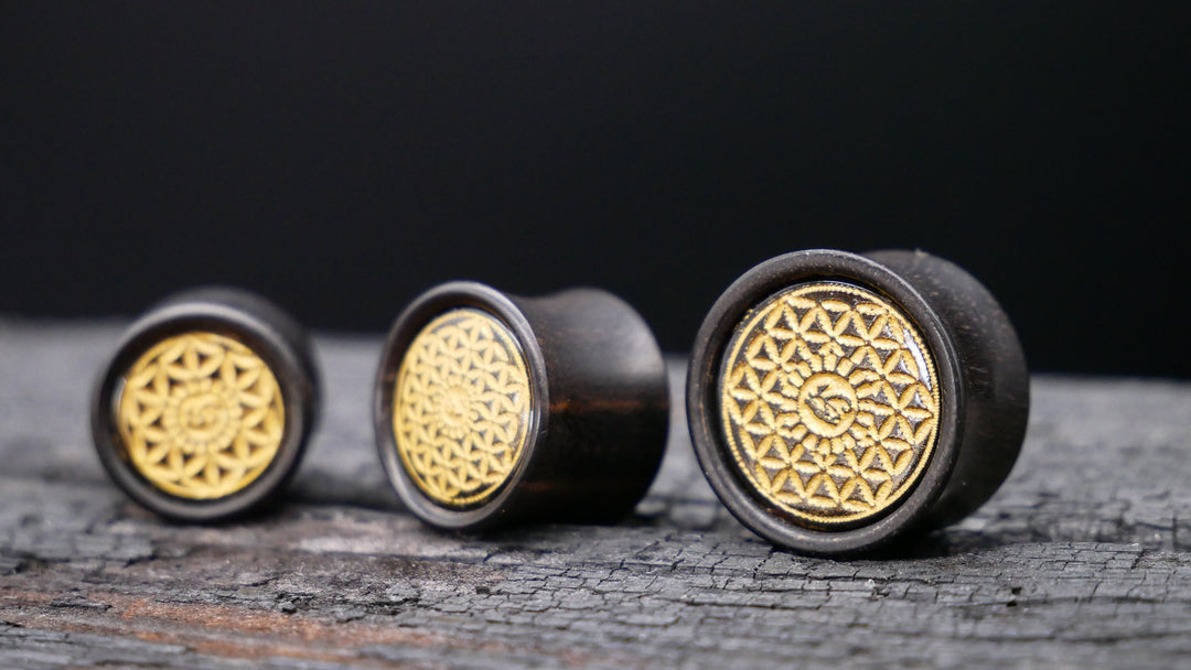 1x Plug Black Arang Wood 8-16mm - F1