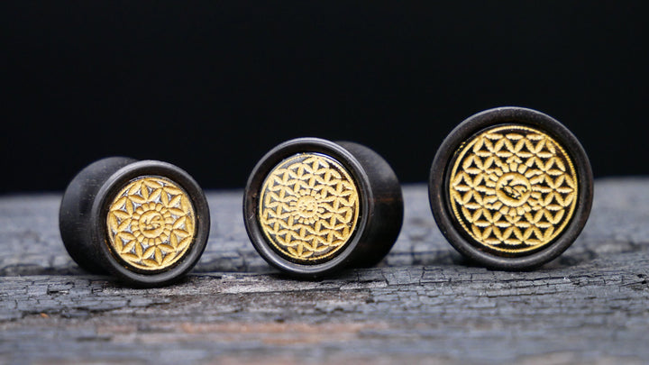 1x Plug Black Arang Wood 8-16mm - F1