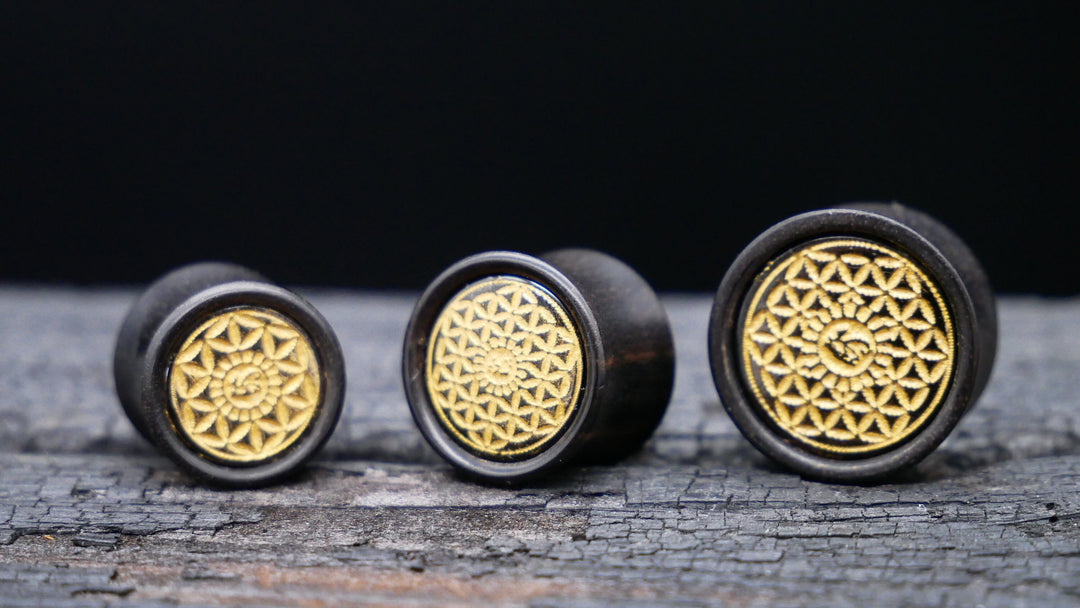 1x Plug Black Arang Wood 8-16mm - F1
