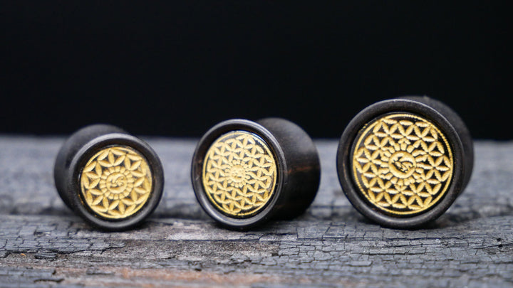 1x Plug Black Arang Wood 8-16mm - F1