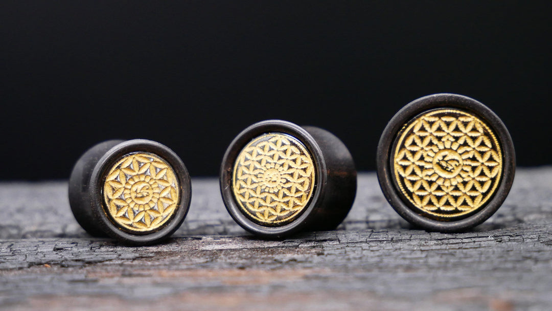1x Plug Black Arang Wood 8-16mm - F1