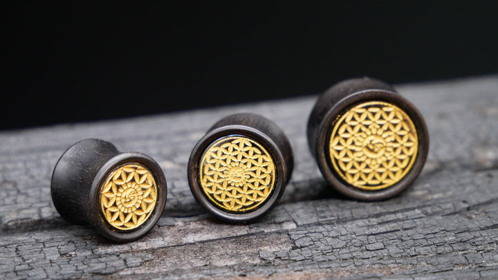 1x Plug Black Arang Wood 8-16mm - F1