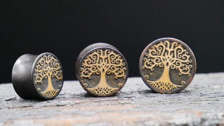 1x Plug aus Ironwood 18-40mm - F1