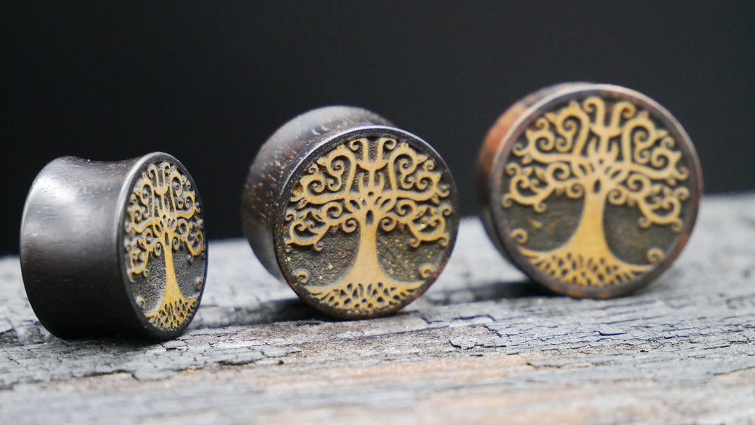 1x Plug aus Ironwood 18-40mm - F1