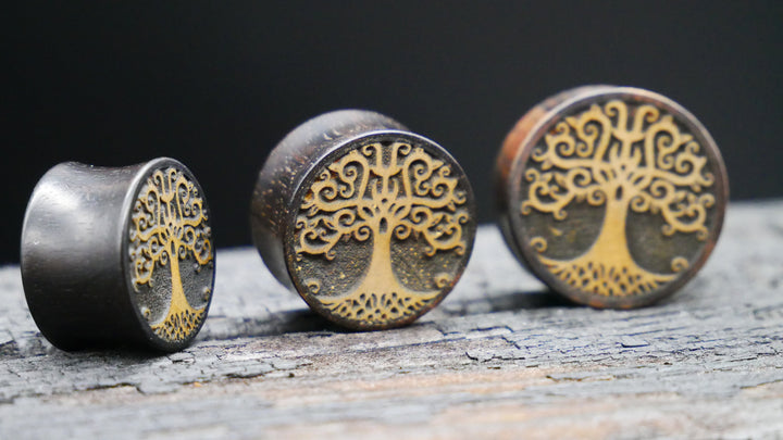 1x Plug aus Ironwood 18-40mm - F1