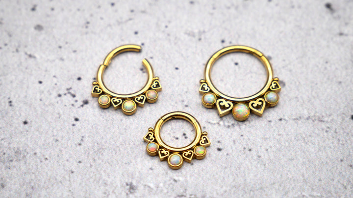 Piercing/Ring/Septum Chirurgenstahl - 1A/18