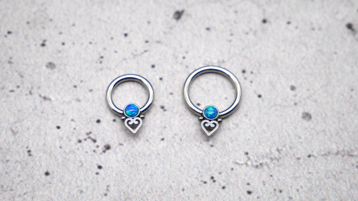 Piercing/Ohrring/Septum Chirurgenstahl - 1K/14