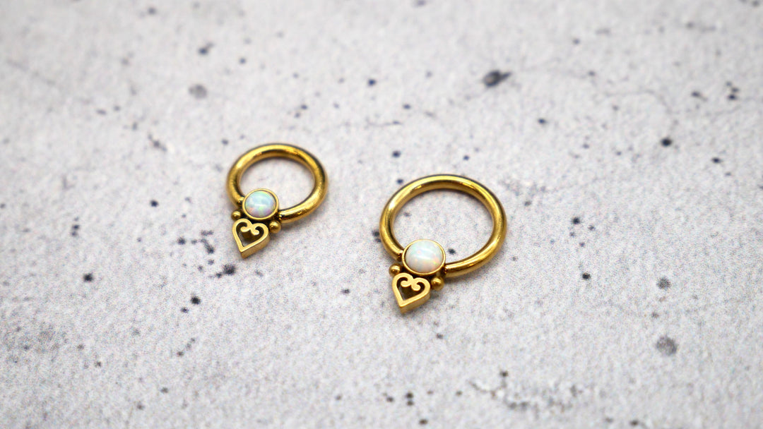 Piercing/Ohrring/Septum Chirurgenstahl - 1K/14