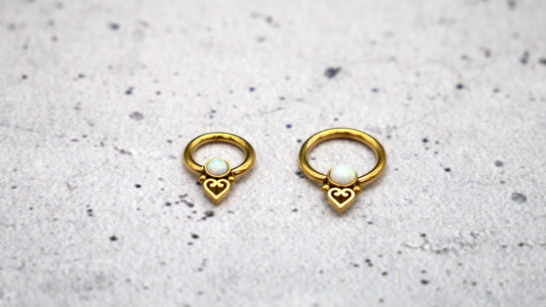 Piercing/Ohrring/Septum Chirurgenstahl - 1K/14