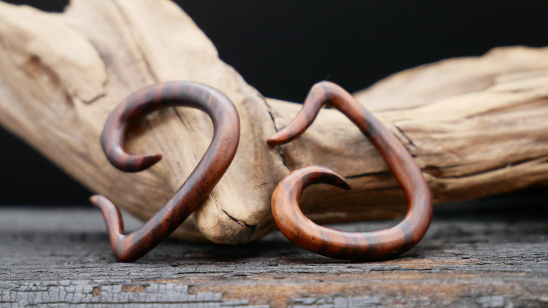 Schnecke aus Narra Wood - GG-5