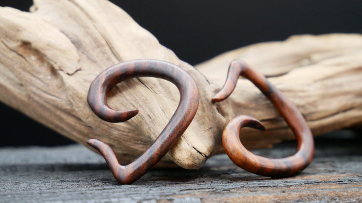 Schnecke aus Narra Wood - GG-5