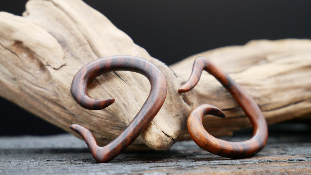Schnecke aus Narra Wood - GG-5