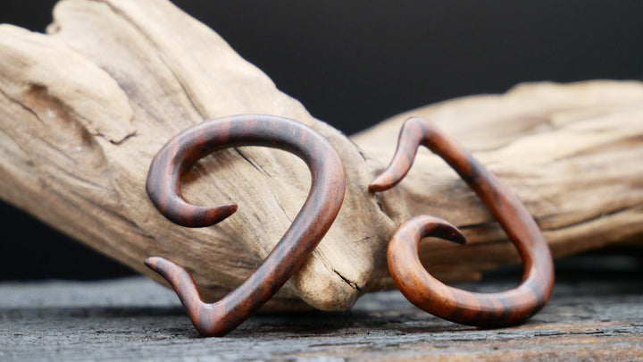 Schnecke aus Narra Wood - GG-5