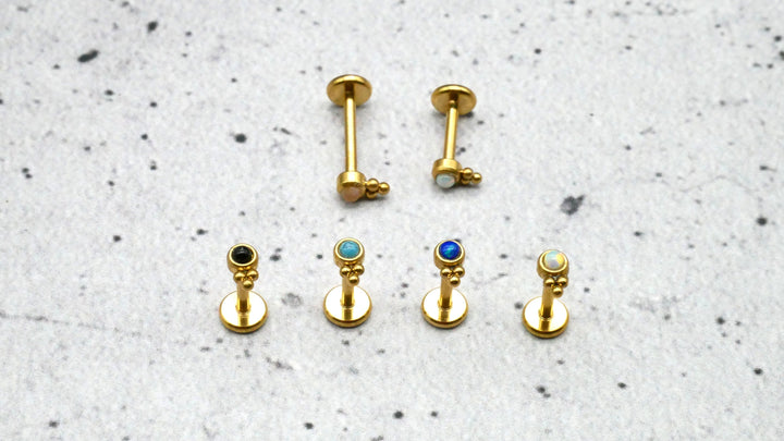 Piercing/Labret/Medusa/Tragus Chirurgenstahl - 1F/16