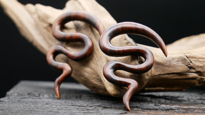 Schnecke aus Narra Wood - GG-6