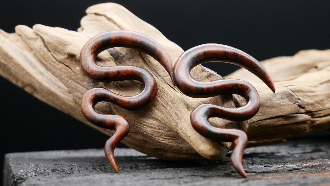 Schnecke aus Narra Wood - GG-6