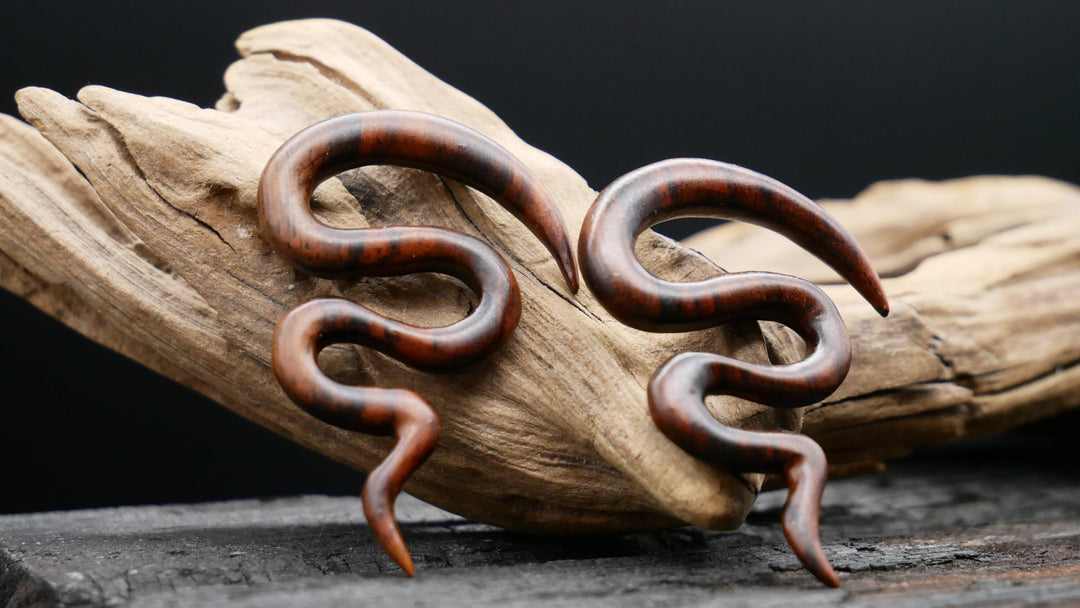 Schnecke aus Narra Wood - GG-6