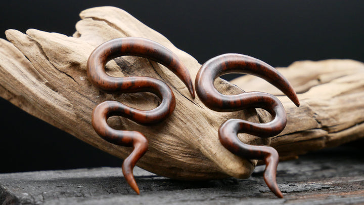 Schnecke aus Narra Wood - GG-6