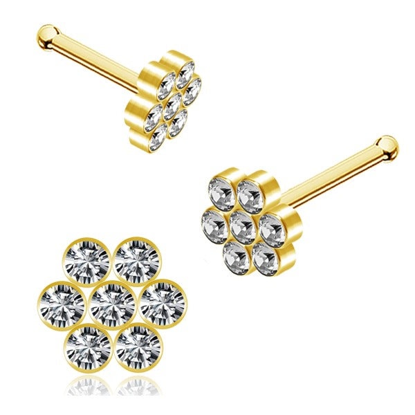 Nasenstecker Chirurgenstahl Gold Silber - 1G/01