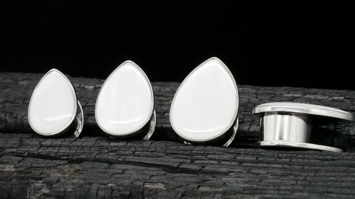 1x Plug Muschel 6-25mm - B1