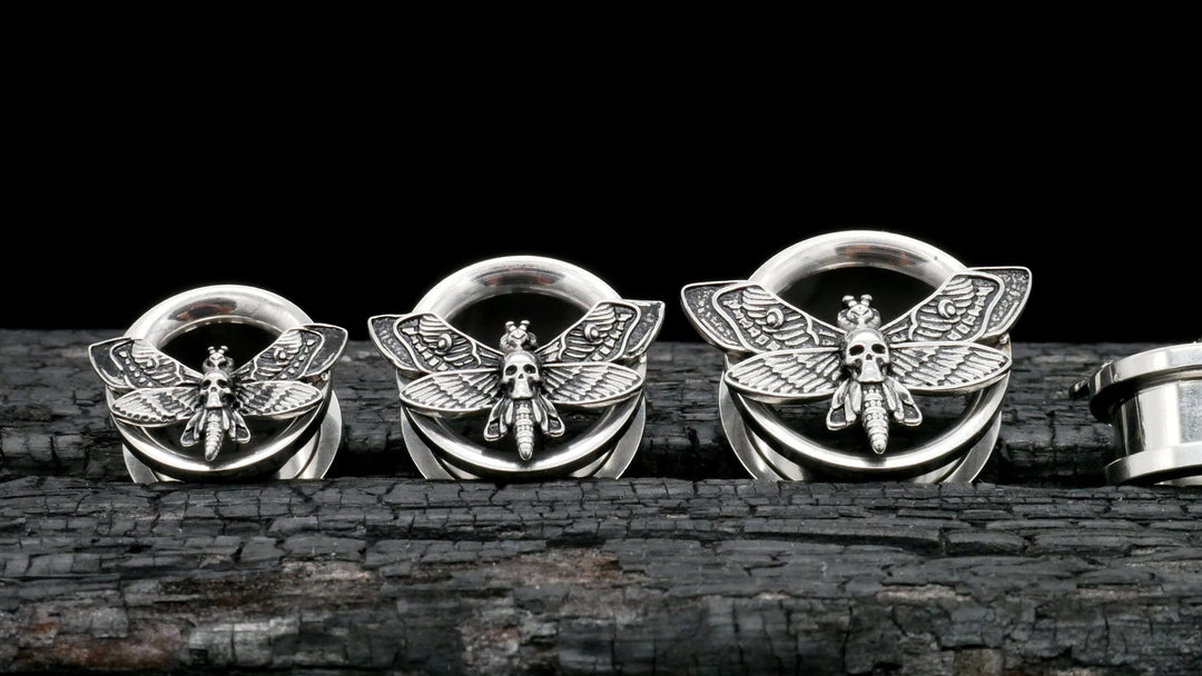 1x Plug Butterfly 8-25mm - K2