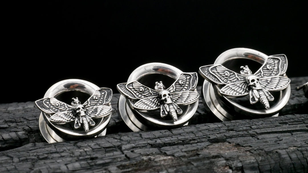 1x Plug Butterfly 8-25mm - K2