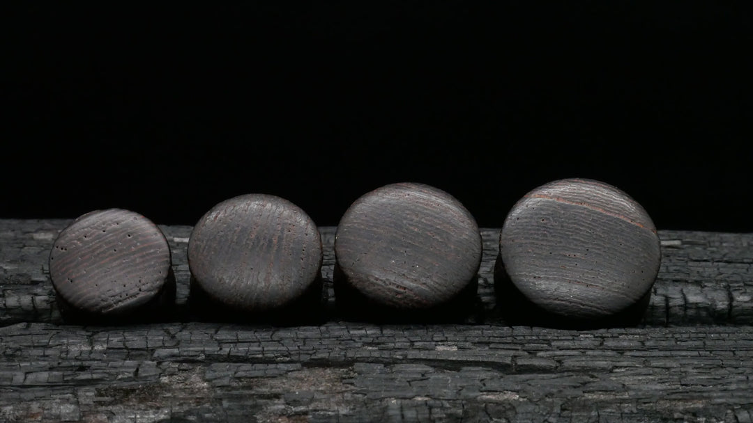1x Plug aus Holz 8-25mm - P3