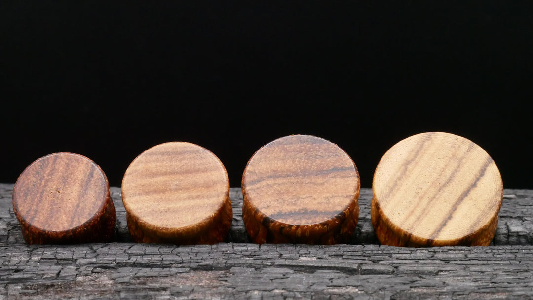 1x Plug aus Holz 8-25mm - P3