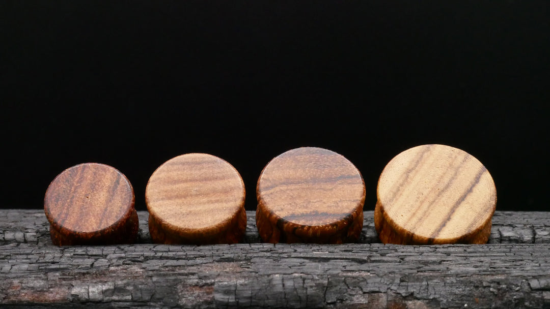 1x Plug aus Holz 8-25mm - P3