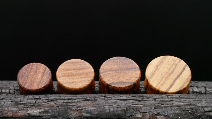 1x Plug aus Holz 8-25mm - P3