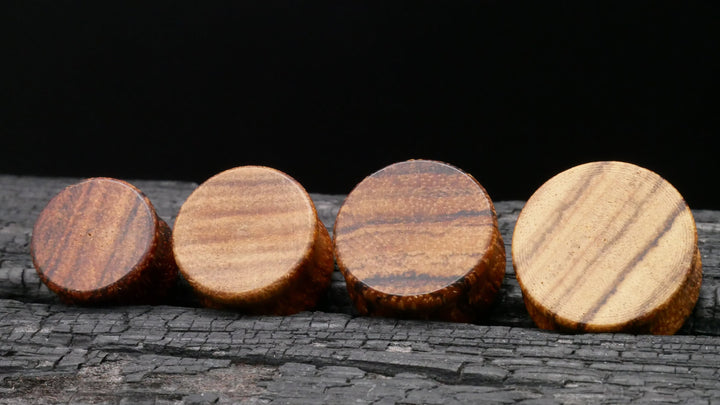 1x Plug aus Holz 8-25mm - P3