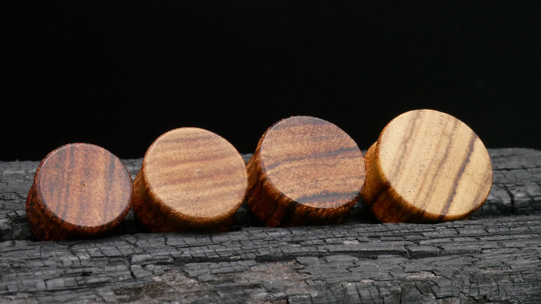 1x Plug aus Holz 8-25mm - P3