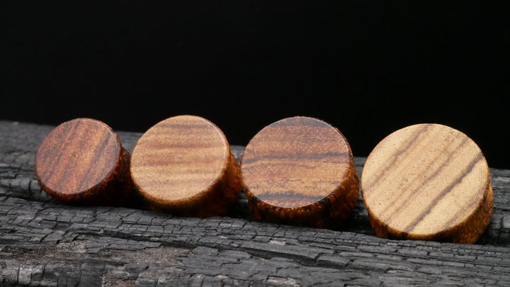 1x Plug aus Holz 8-25mm - P3