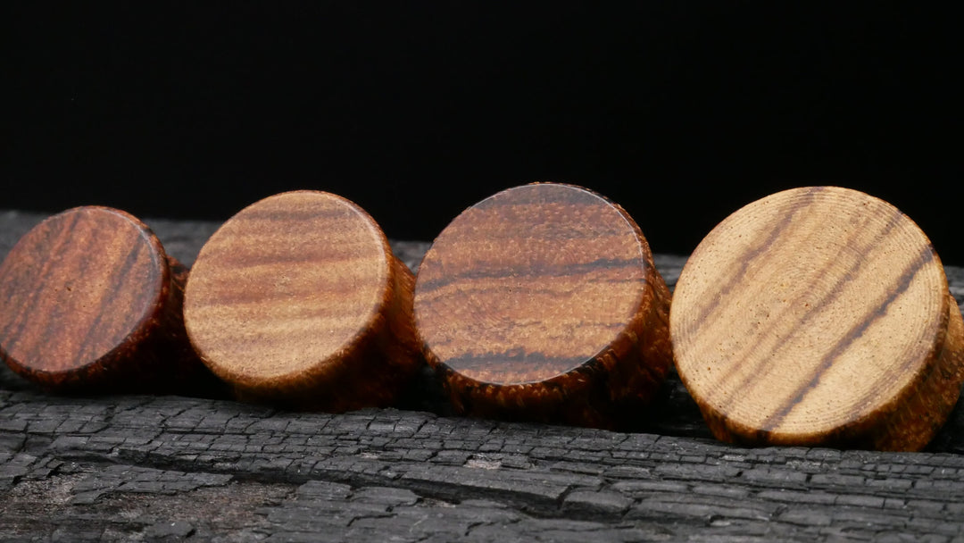 1x Plug aus Holz 8-25mm - P3
