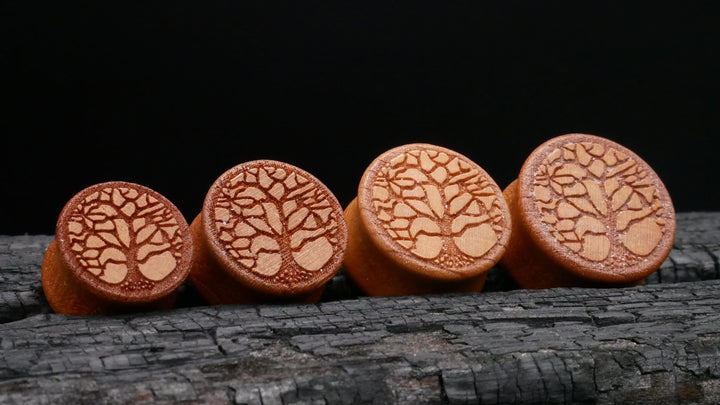 1x Plug aus Holz 8-25mm - P3