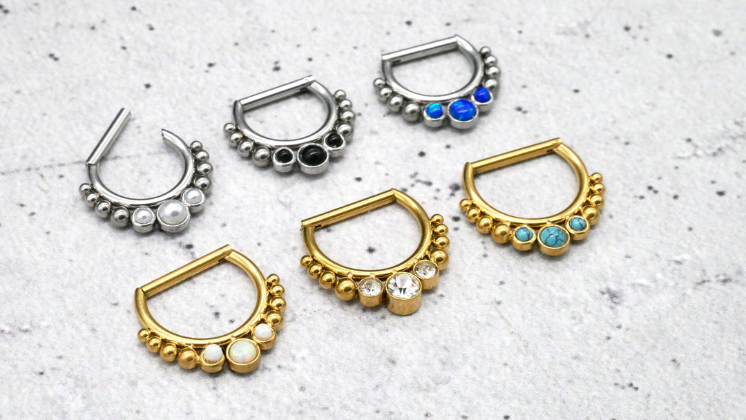 Piercing Hinged Segment Ring - 1I/09