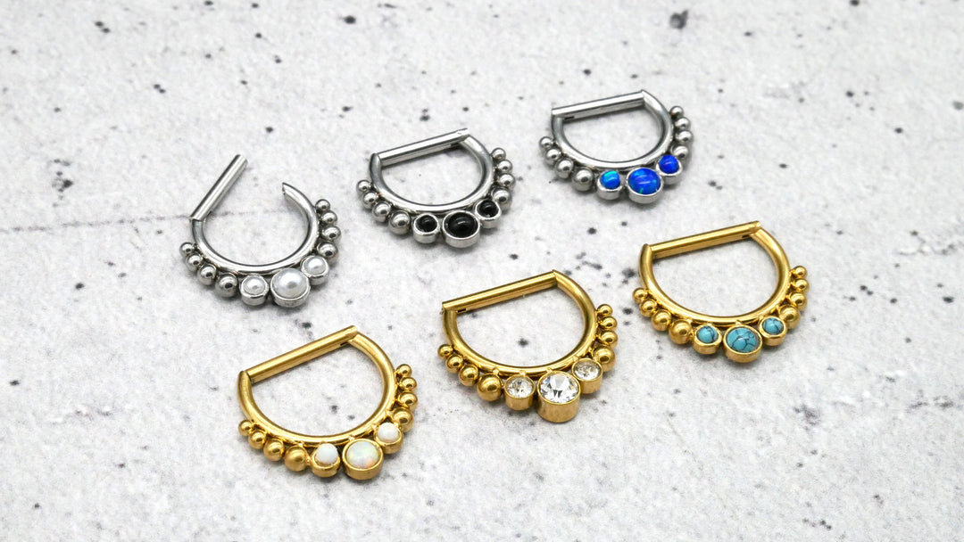 Piercing Hinged Segment Ring - 1I/09