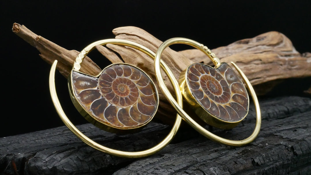 Ohrringe mit Ammonite - DD-3