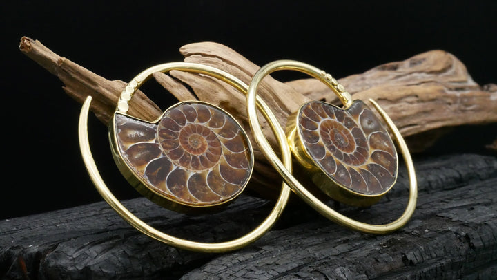 Ohrringe mit Ammonite - DD-3