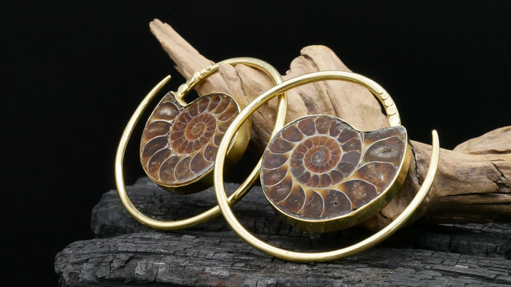 Ohrringe mit Ammonite - DD-3