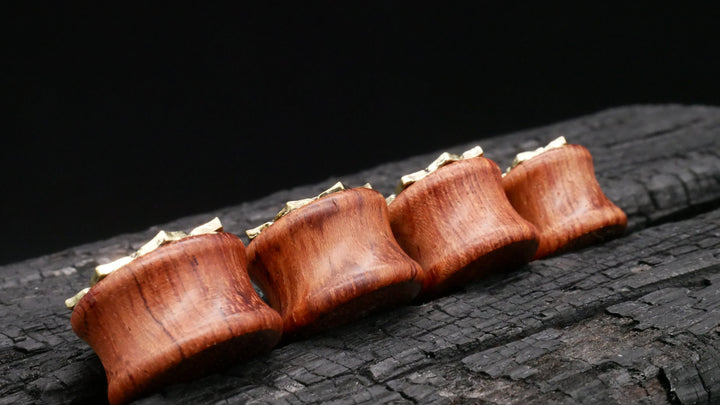 1x Plug Holz/Messing 6-20mm - L5
