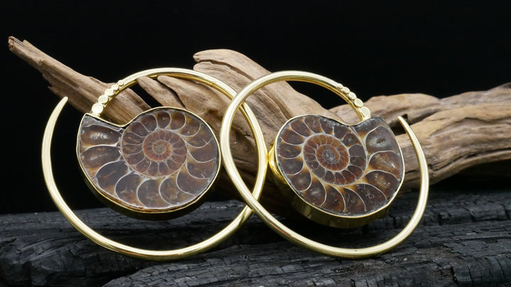 Ohrringe mit Ammonite - DD-3