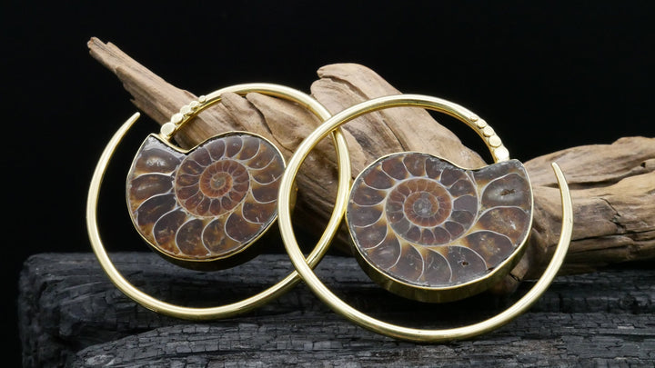 Ohrringe mit Ammonite - DD-3