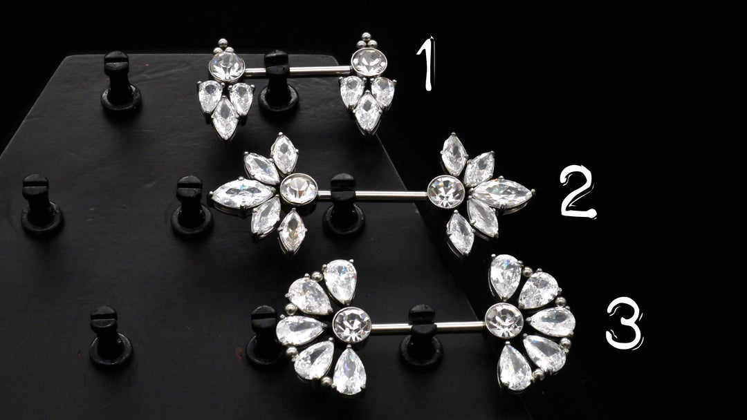1x Nippel Piercing aus Chirurgenstahl - O3