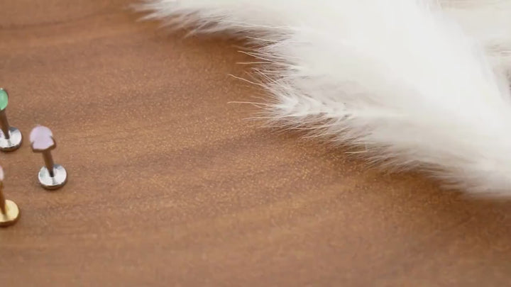 Piercing Stecker Labret Medusa Tragus Gewinde Chirurgenstahl - 1R/12