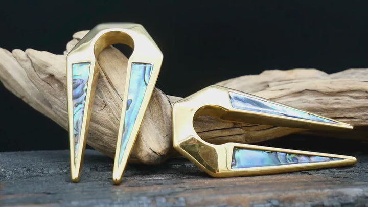 Paar Ohrgewichte Gold Abalone 10mm - EE-3