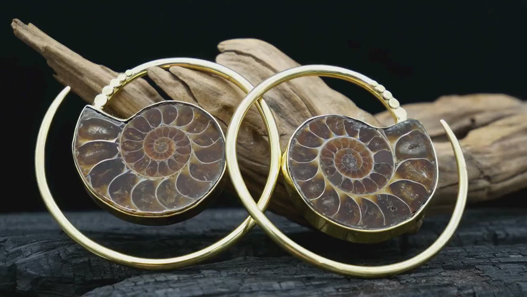 Ohrringe mit Ammonite - DD-3